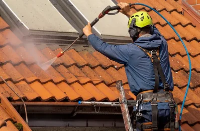 Démoussage et hydrofuge de toiture à Bransat